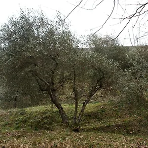 Chalet Tradizione Toscana Ristrutturata Nel 2021